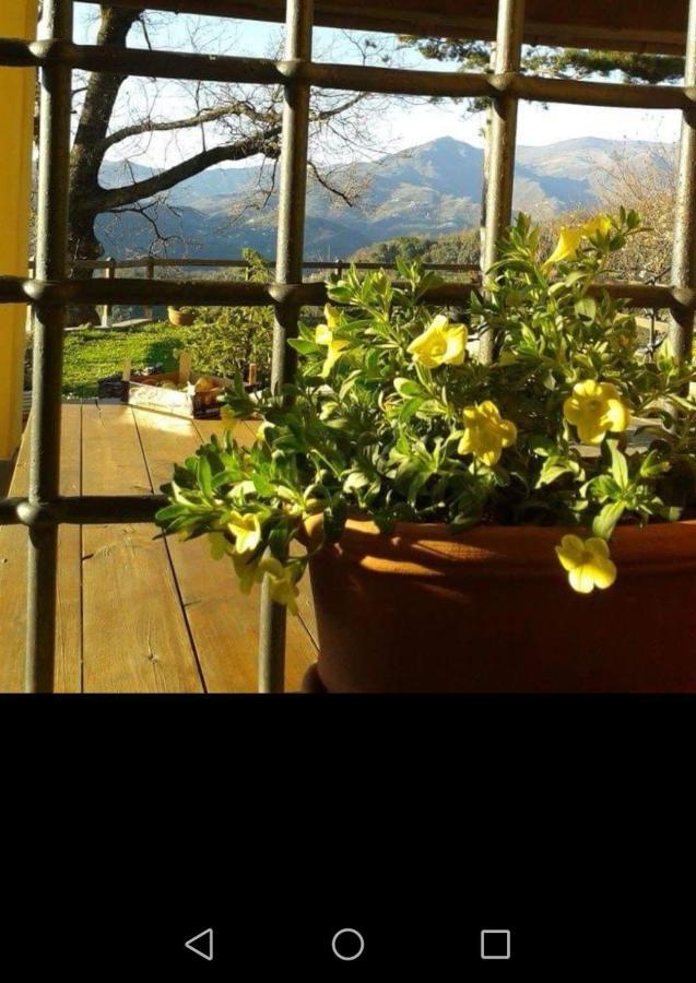 Elsa House Mezzanego Exterior foto